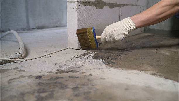 Top rated local Foundation Crack Repair specialists in Holly, MI